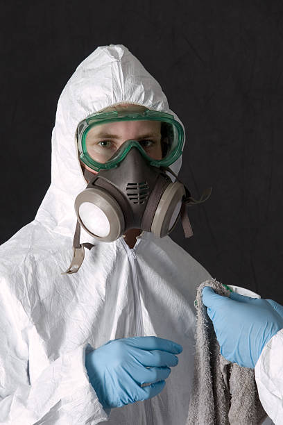 Best Mold Odor Removal Services  in Pendleton, IN